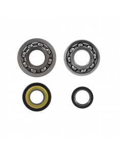 JUEGO RODAMIENTOS-RETENES CIGUEÑAL PIAGGIO APE 50...